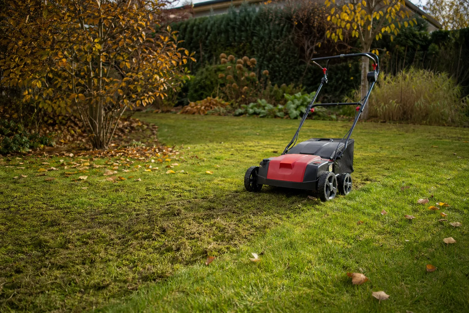 Herbst mit dem Vertikutierer: Nutzen, Timing und Massnahmen zur Regeneration