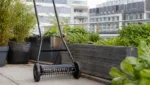 Vertikutierer im Urban Gardening: Kleine Flaechen, grosse Wirkung