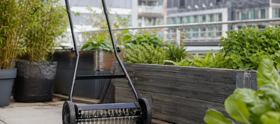 Vertikutierer im Urban Gardening: Kleine Flaechen, grosse Wirkung